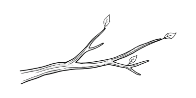 PIM-CARD-0037-RF-Branch-Diverging-Pathways_v1.0