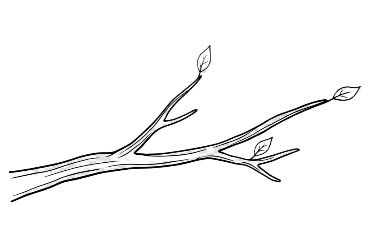 PIM-CARD-0037-RF-Branch-Diverging-Pathways_v1.0